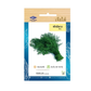 Home Garden Seeds Dill (Approx 3300 Seeds) 5gms