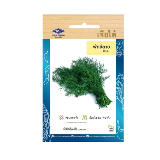 Home Garden Seeds Dill (Approx 3300 Seeds) 5gms