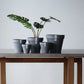 Plant Culture Urban Planter – F1 Tall Curve w/ Catch Plate for plants