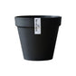 Plant Culture Urban Planter – F1 Tall Curve w/ Catch Plate for plants
