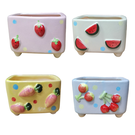 Plant Culture Cute Rectangle Planters