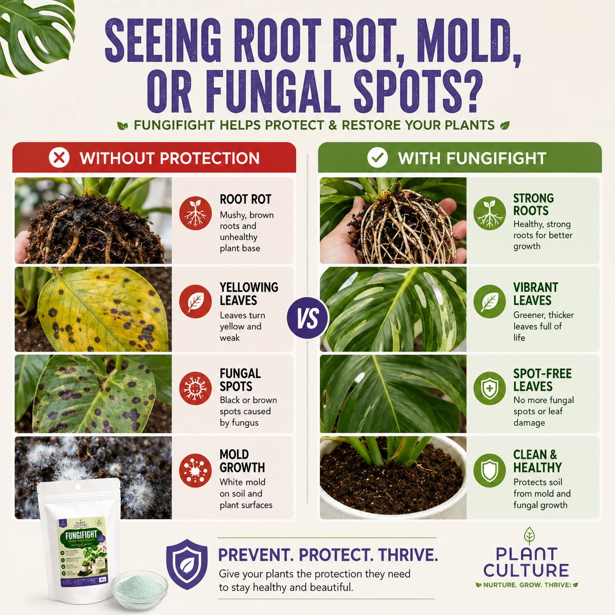 FungiFight Organic Powder Fungicide for Root Rot Mold Fungus | For Houseplants Orchids Aroids Succulents