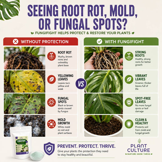 FungiFight Organic Powder Fungicide for Root Rot Mold Fungus | For Houseplants Orchids Aroids Succulents