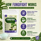 FungiFight Organic Powder Fungicide for Root Rot Mold Fungus | For Houseplants Orchids Aroids Succulents