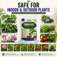FungiFight Organic Powder Fungicide for Root Rot Mold Fungus | For Houseplants Orchids Aroids Succulents