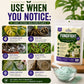 FungiFight Organic Powder Fungicide for Root Rot Mold Fungus | For Houseplants Orchids Aroids Succulents