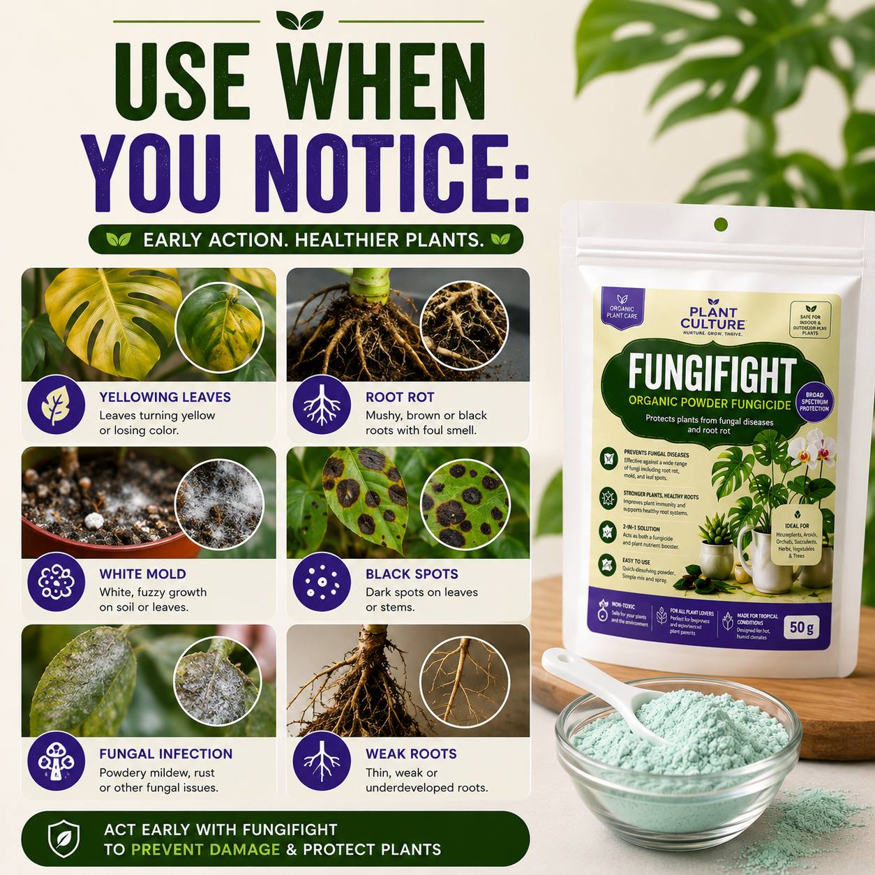 FungiFight Organic Powder Fungicide for Root Rot Mold Fungus | For Houseplants Orchids Aroids Succulents