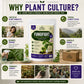 FungiFight Organic Powder Fungicide for Root Rot Mold Fungus | For Houseplants Orchids Aroids Succulents