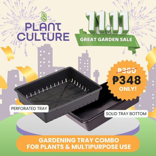 Bundle - Solid & Perforated Tray Set Gardening Tray Combo