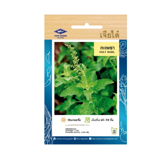Home Garden Seeds Holy Basil (Approx 440 Seeds) 2gms