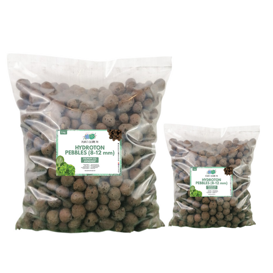 Hydroton Pebbles Soil Topppings