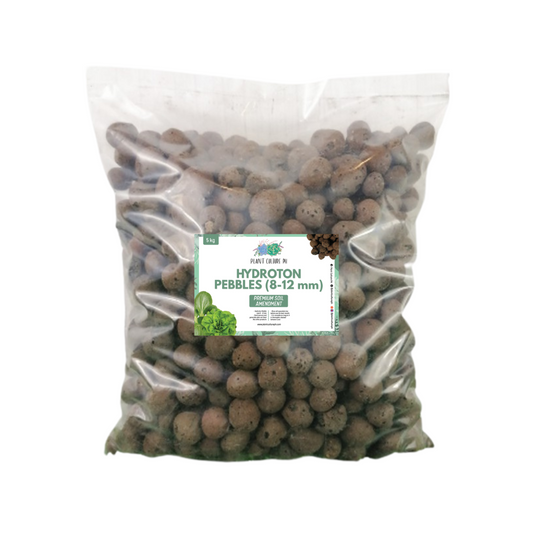 Hydroton Pebbles Soil Topppings
