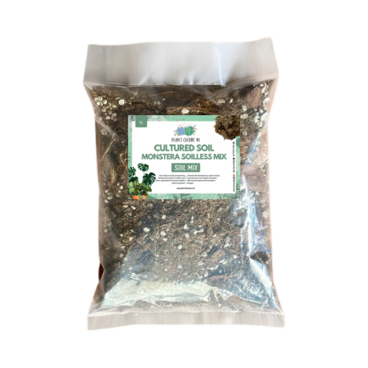 Plant Culture Cultured Monstera Soilless Potting Soil Mix | Ready to Use Soil Mix