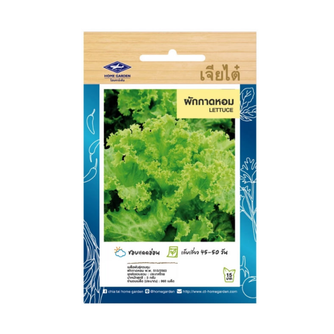 Home Garden Seeds Lettuce Green Wave (Approx 1100 Seeds) 3gms