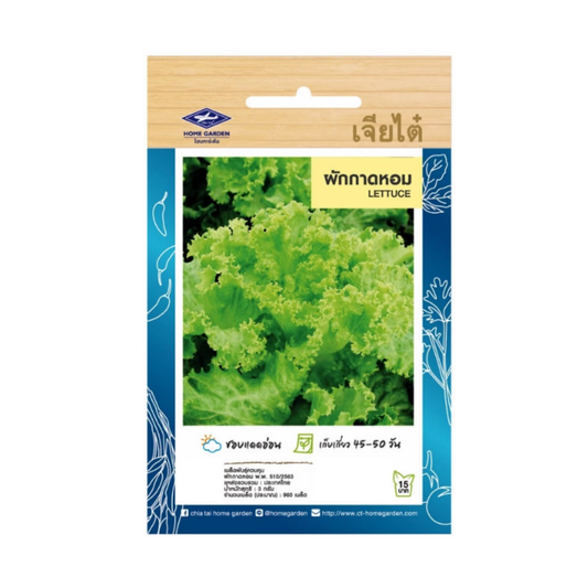 Home Garden Seeds Lettuce Green Wave (Approx 1100 Seeds) 3gms
