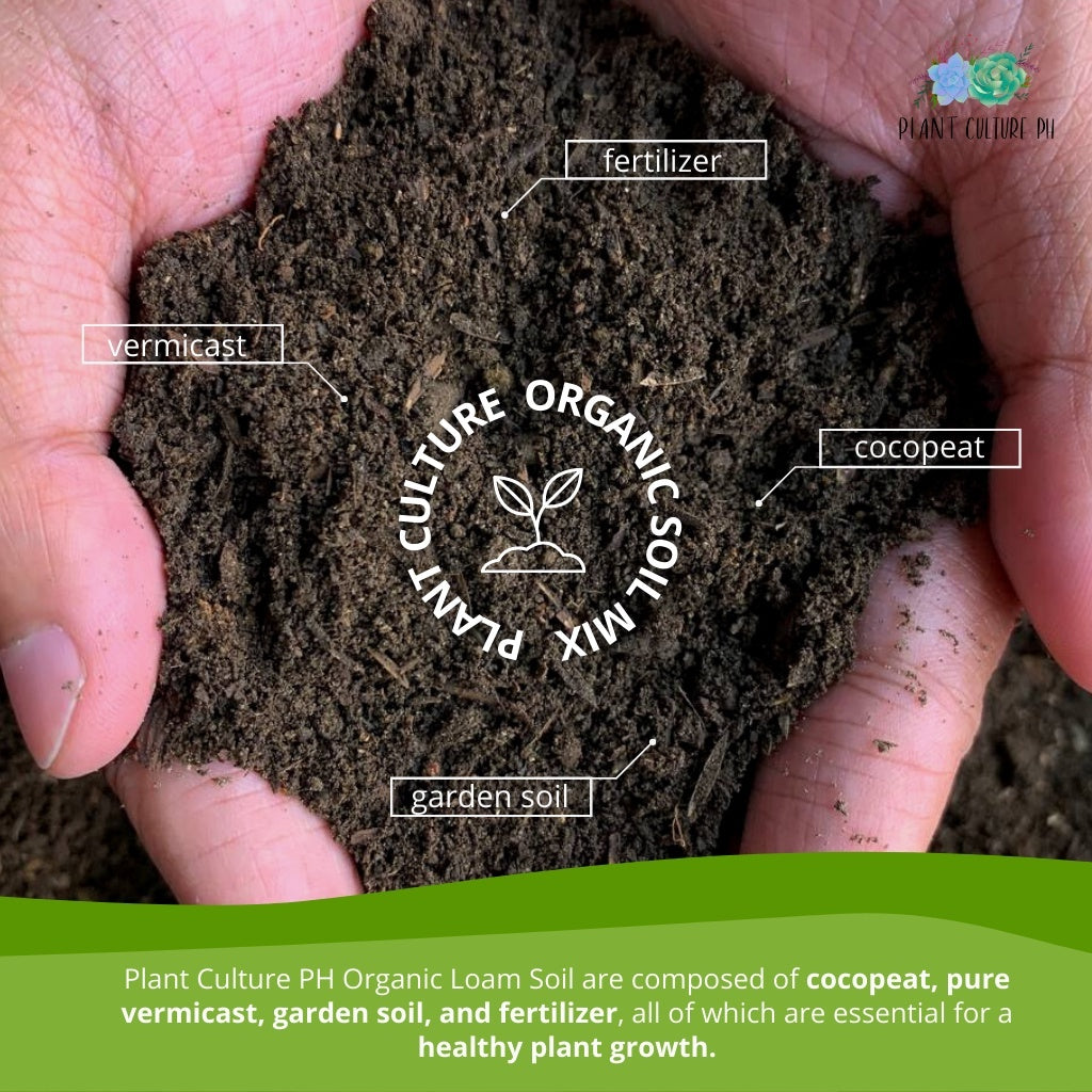 Organic Loam Soil by Plant Culture PH