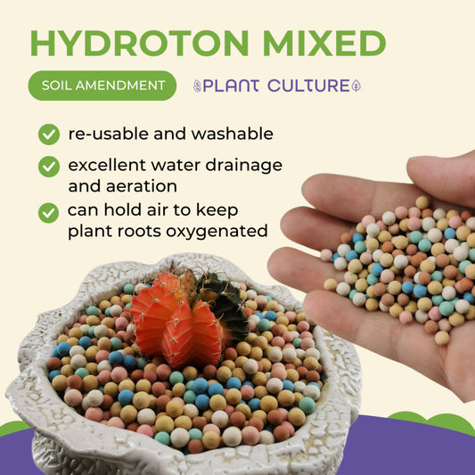 Rainbow Multicolor LECA Hydroton Pebbles 3-5mm