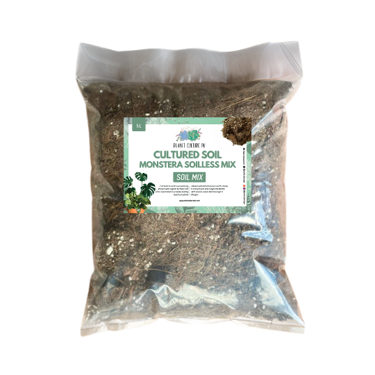 Plant Culture Cultured Monstera Soilless Potting Soil Mix | Ready to Use Soil Mix