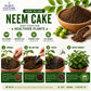 Plant Culture Nutri+ Neem Cake Organic Fertilizer & Soil Conditioner 50g/100g