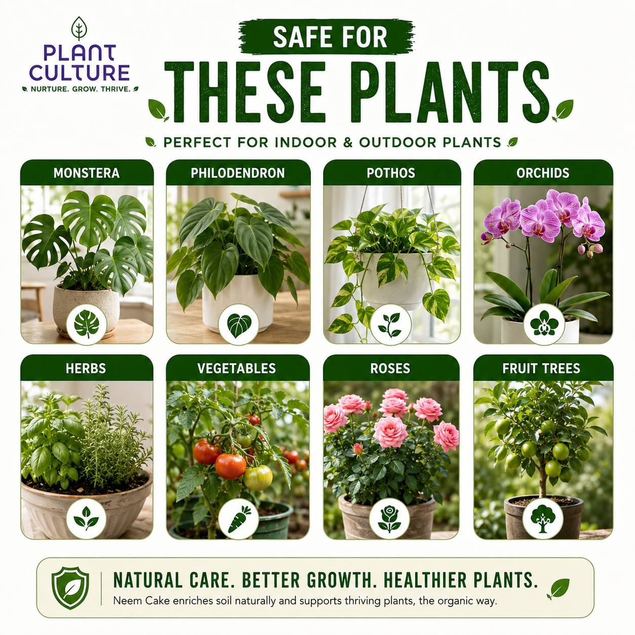 Plant Culture Nutri+ Neem Cake Organic Fertilizer & Soil Conditioner 50g/100g