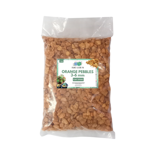 Orange Marble Chips 1kg  By Plant Culture PH