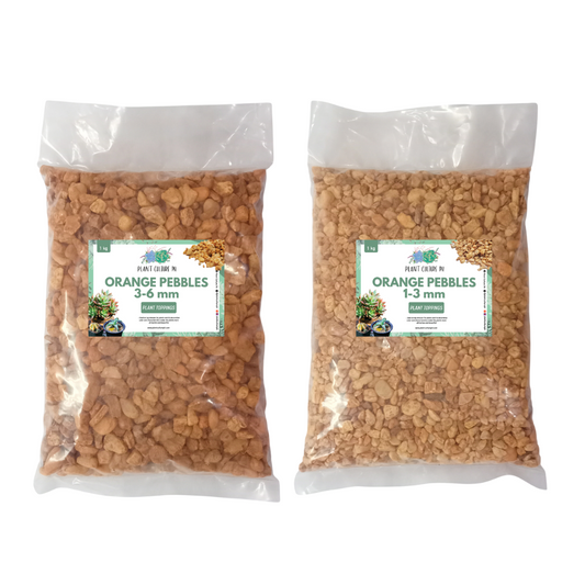 Orange Marble Chips 1kg  By Plant Culture PH