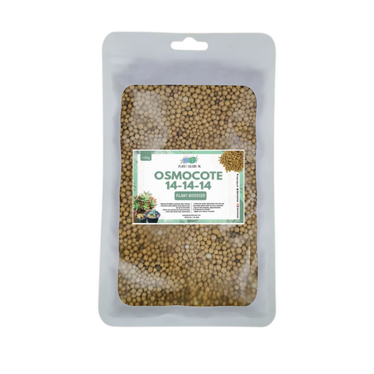 AICL Osmocote Extended Time Release Fertilizer 14-14-14 100G