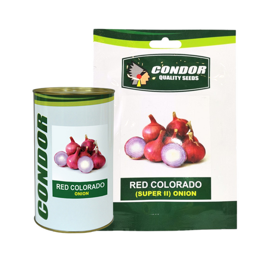Condor Quality Seeds (Super II) Onion Red Colorado