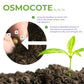 AICL Osmocote Extended Time Release Fertilizer 14-14-14 100G