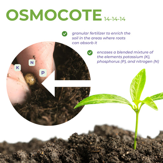 AICL Osmocote Extended Time Release Fertilizer 14-14-14 100G