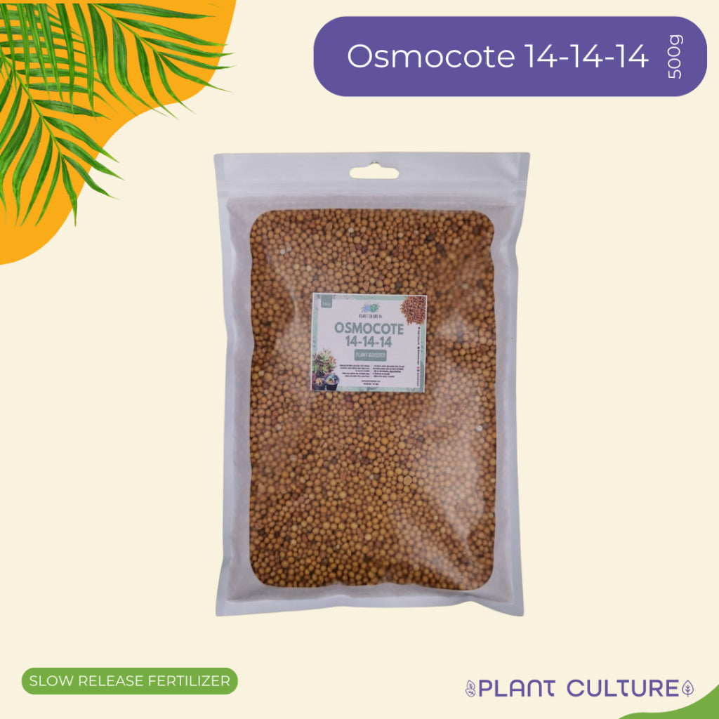 AICL Osmocote Controlled Release Fertilizer 14-14-14 500G