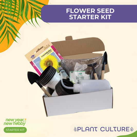 Plant Culture PH Flower Seed Starter Kit