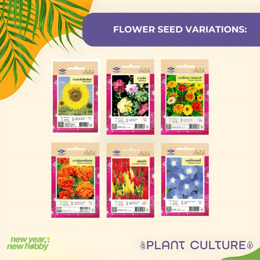 Plant Culture PH Flower Seed Starter Kit