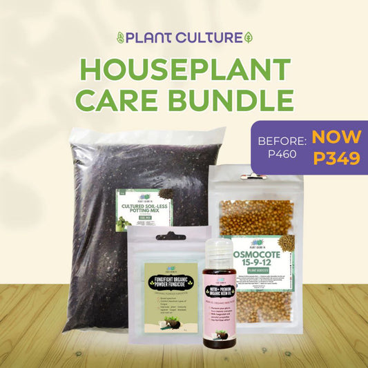 House Plant Care Bundle
