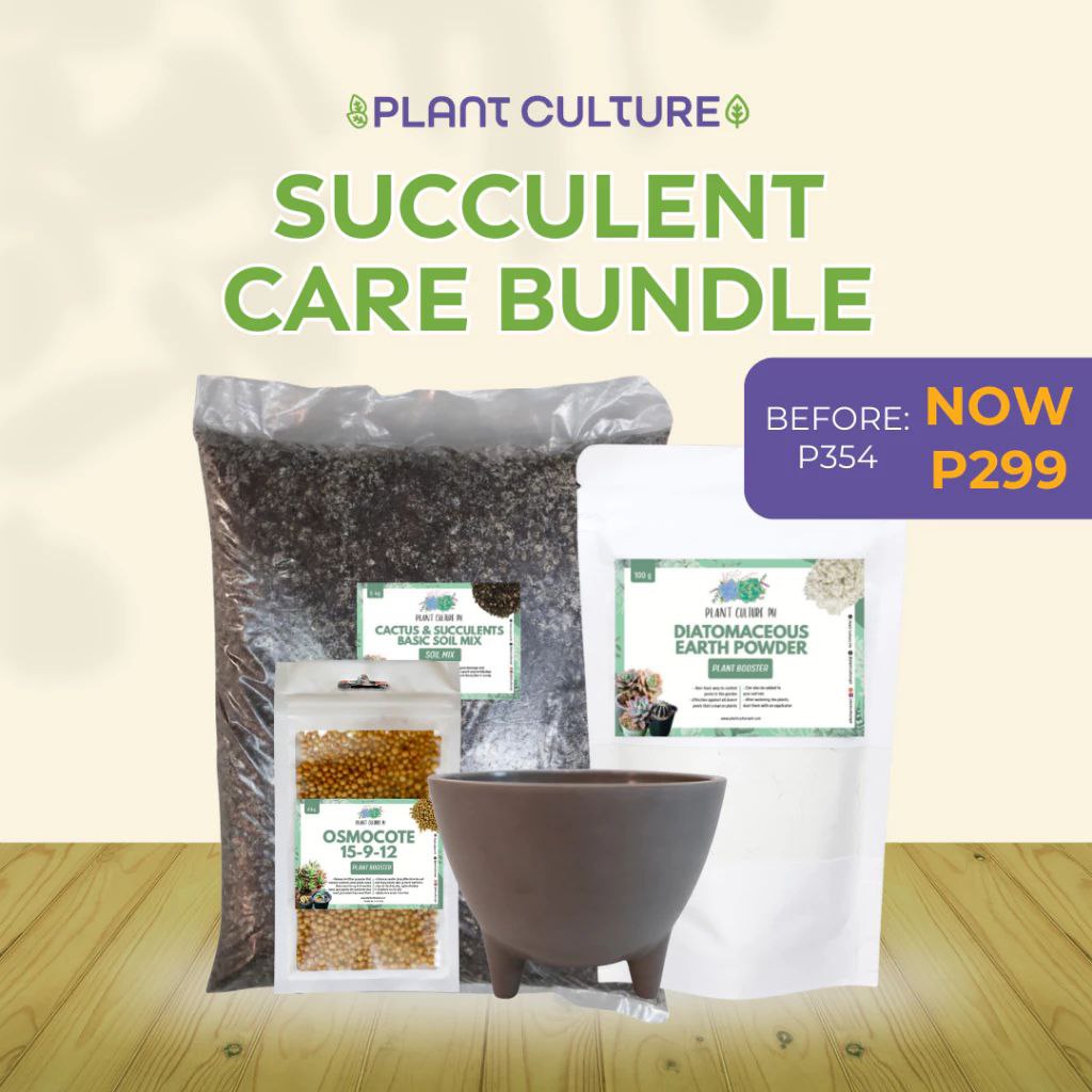 Succulent Care Bundle
