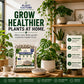 Plant Culture Pumice Stones 5KG | Premium Volcanic Pumice for Better Aeration, Drainage & Healthy Roots