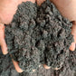 Carbonized Rice Hull (Crh) I Starter Soil Amendment For Plants, Houseplants, Cactus, Succulents