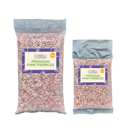 Premium Pink Pebbles by Plant Culture PH