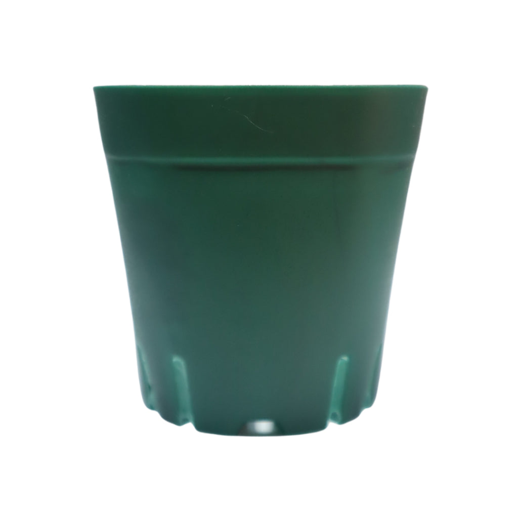 Plastic Green Pot 6.5cm