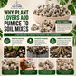Plant Culture Pumice Stones 5KG | Premium Volcanic Pumice for Better Aeration, Drainage & Healthy Roots
