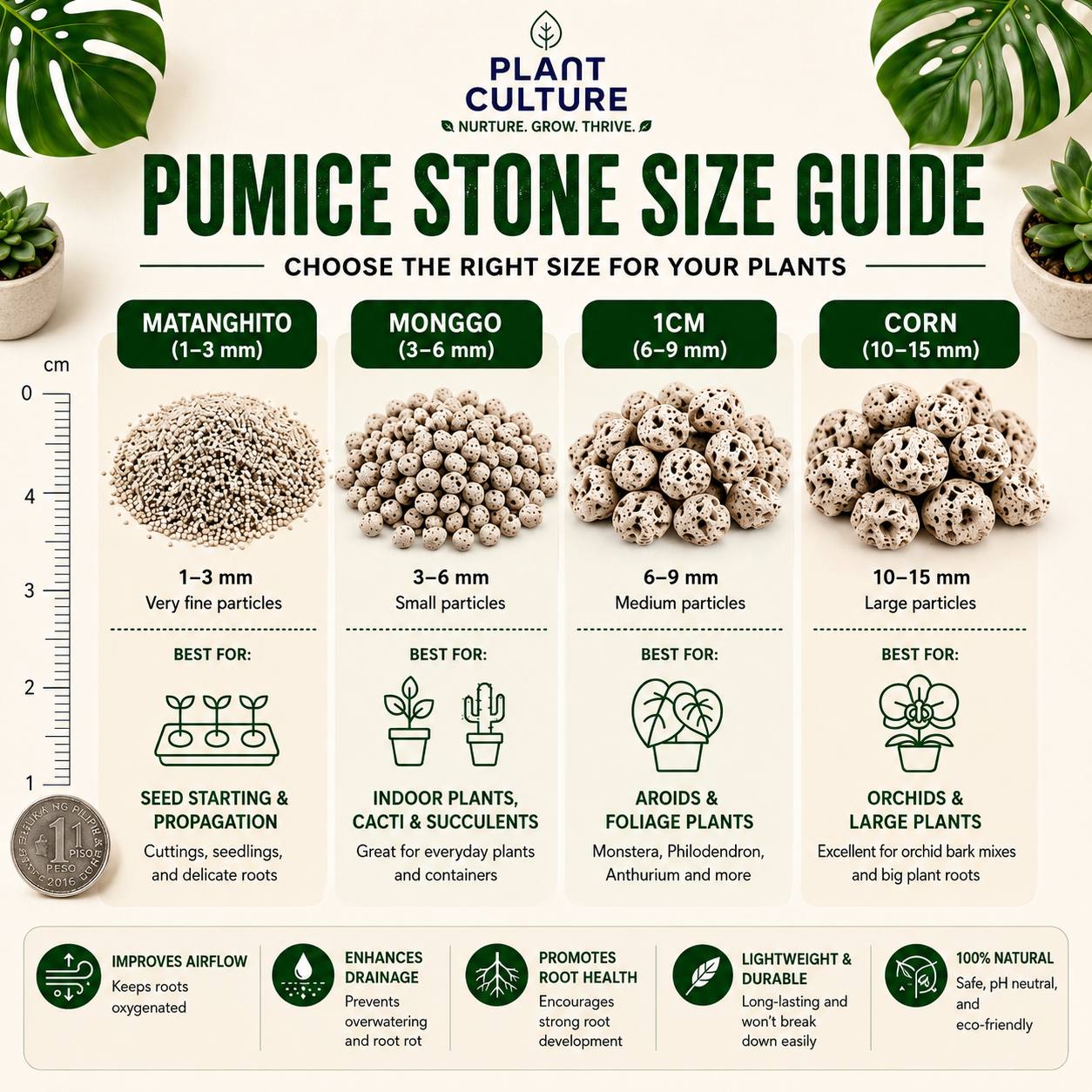 Plant Culture Pumice Stones 5KG | Premium Volcanic Pumice for Better Aeration, Drainage & Healthy Roots