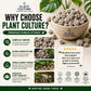 Plant Culture Pumice Stones 5KG | Premium Volcanic Pumice for Better Aeration, Drainage & Healthy Roots