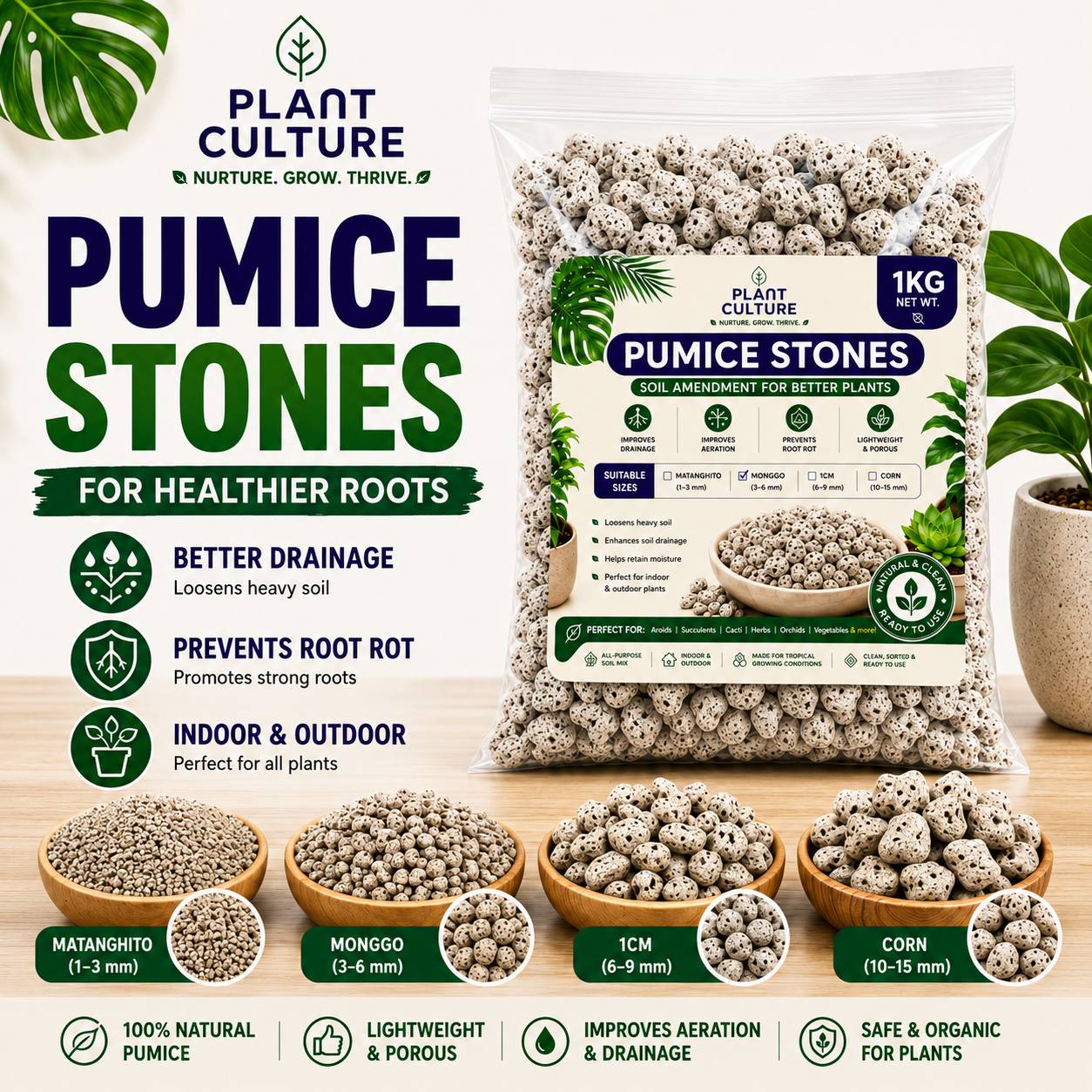 Plant Culture Pumice Stones 1KG | Soil Amendment for Better Drainage & Root Health | For Aroids, Succulents & Orchids