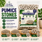 Plant Culture Pumice Stones 3KG | Lightweight Volcanic Soil Mix Additive for Indoor & Outdoor Plants