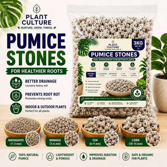 Plant Culture Pumice Stones 3KG | Lightweight Volcanic Soil Mix Additive for Indoor & Outdoor Plants