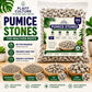 Plant Culture Pumice Stones 5KG | Premium Volcanic Pumice for Better Aeration, Drainage & Healthy Roots