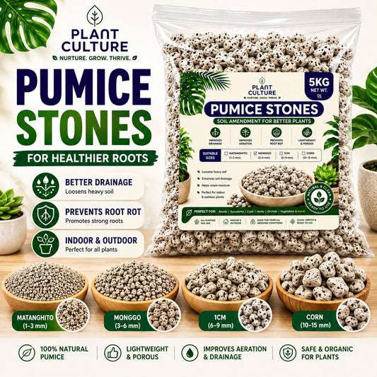 Plant Culture Pumice Stones 5KG | Premium Volcanic Pumice for Better Aeration, Drainage & Healthy Roots