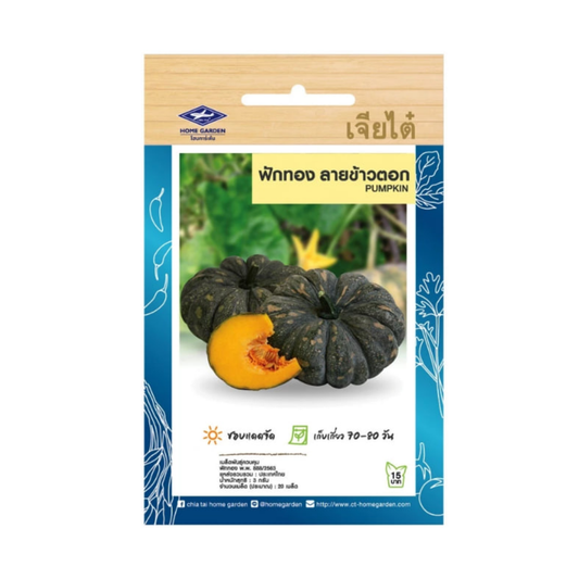 Home Garden Seeds Pumpkin (Approx75 Seeds) 3gms