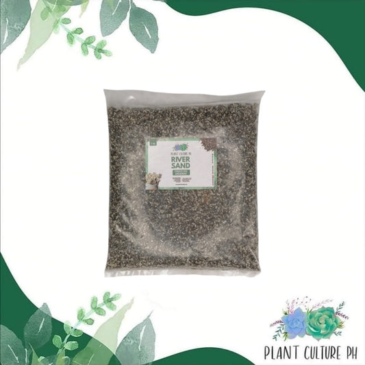 River Sand by Plant Culture PH