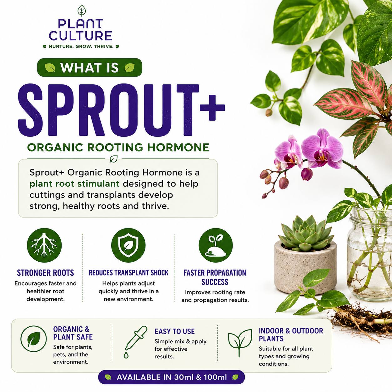 Plant Culture Sprout+ Organic Rooting Hormone for Cuttings & Propagation | 30ml / 100ml